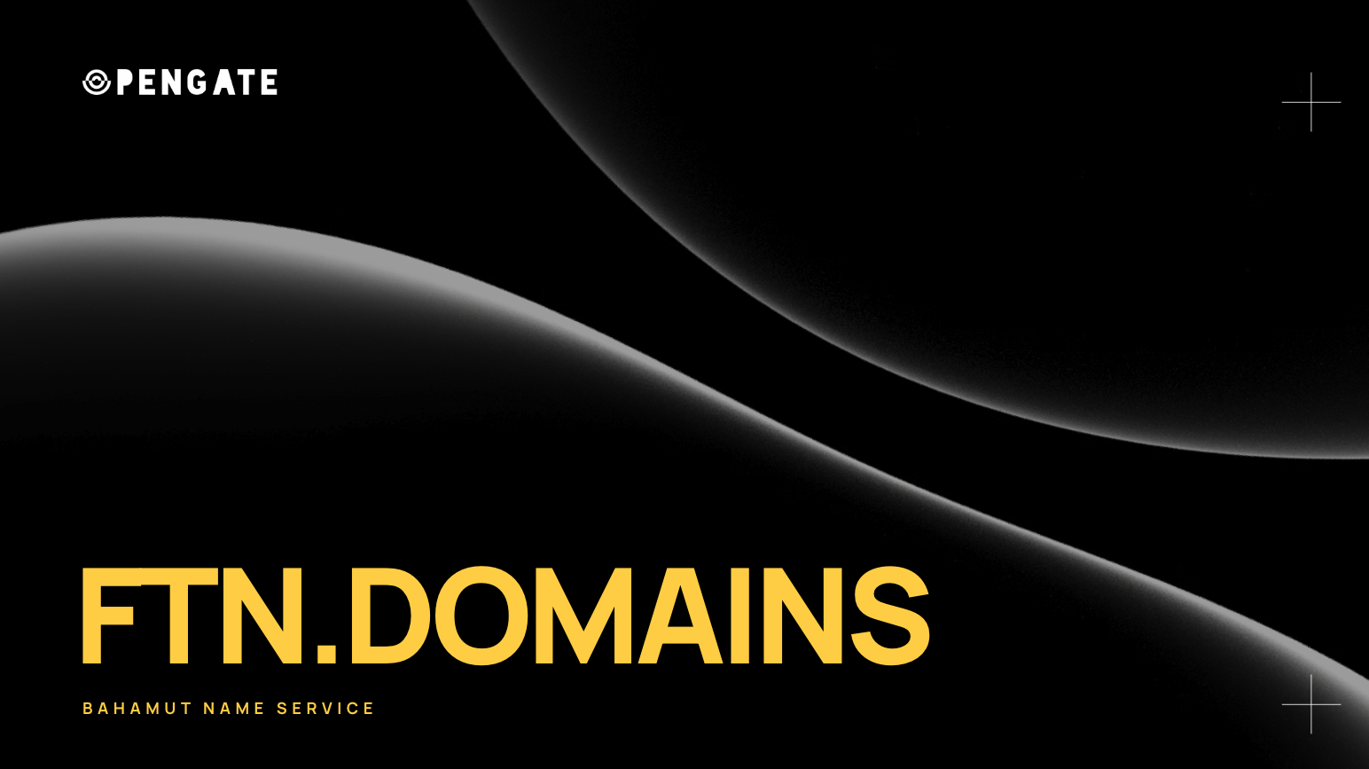 FTN DOMAINS